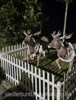 ...die Rentiere...